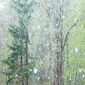 日韩不卡高清无码人妻
