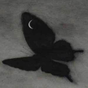 日韩不卡高清无码人妻
