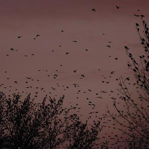 日韩不卡高清无码人妻
